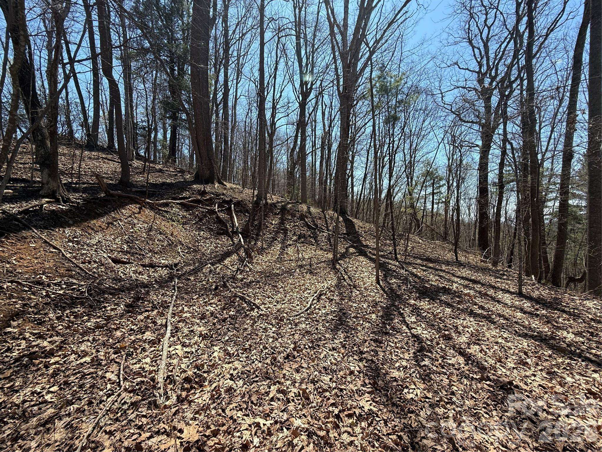000 Granny Shepherd RD #Lot 2, Mars Hill, NC 2875497