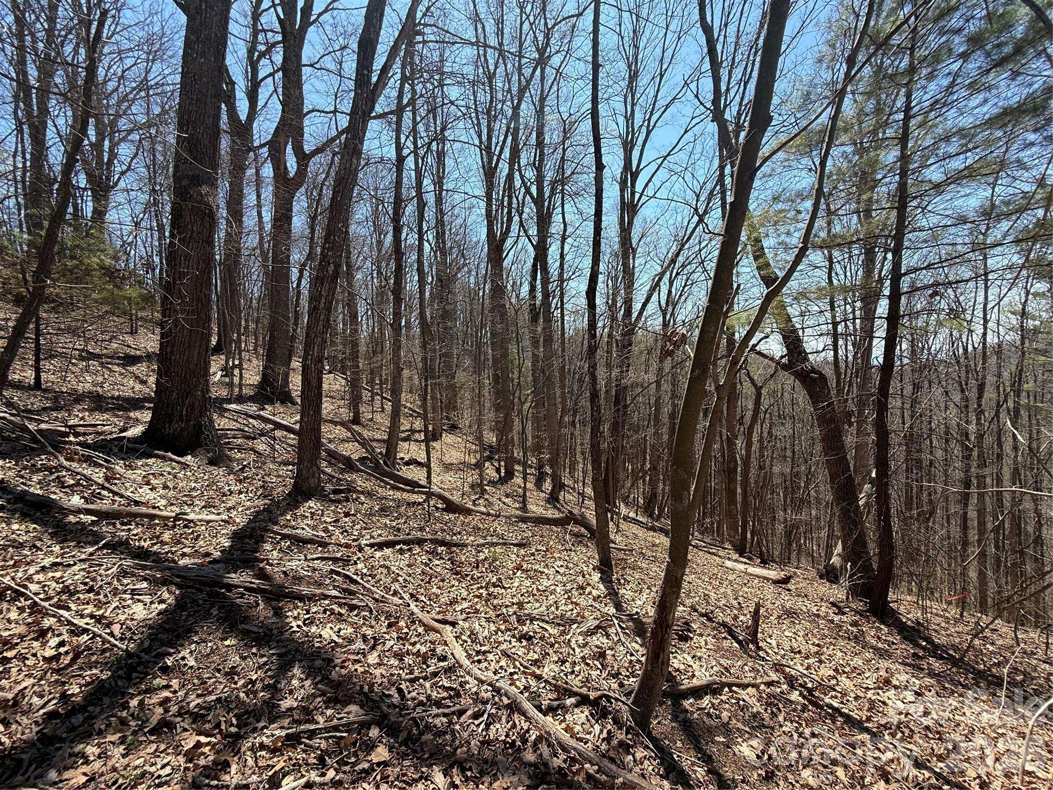 000 Granny Shepherd RD #Lot 2, Mars Hill, NC 2875497