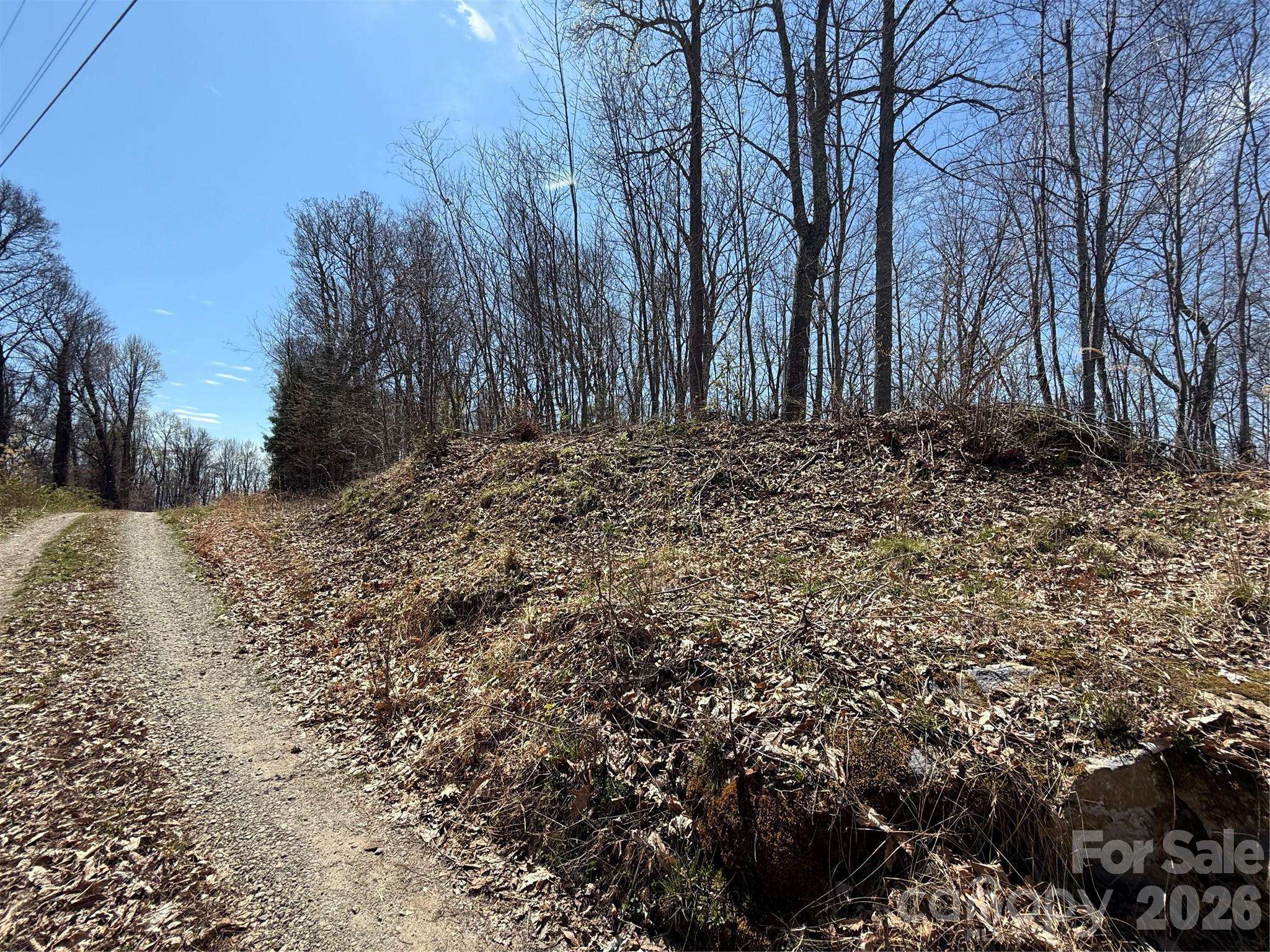 000 Granny Shepherd RD #lot 4, Mars Hill, NC 28754