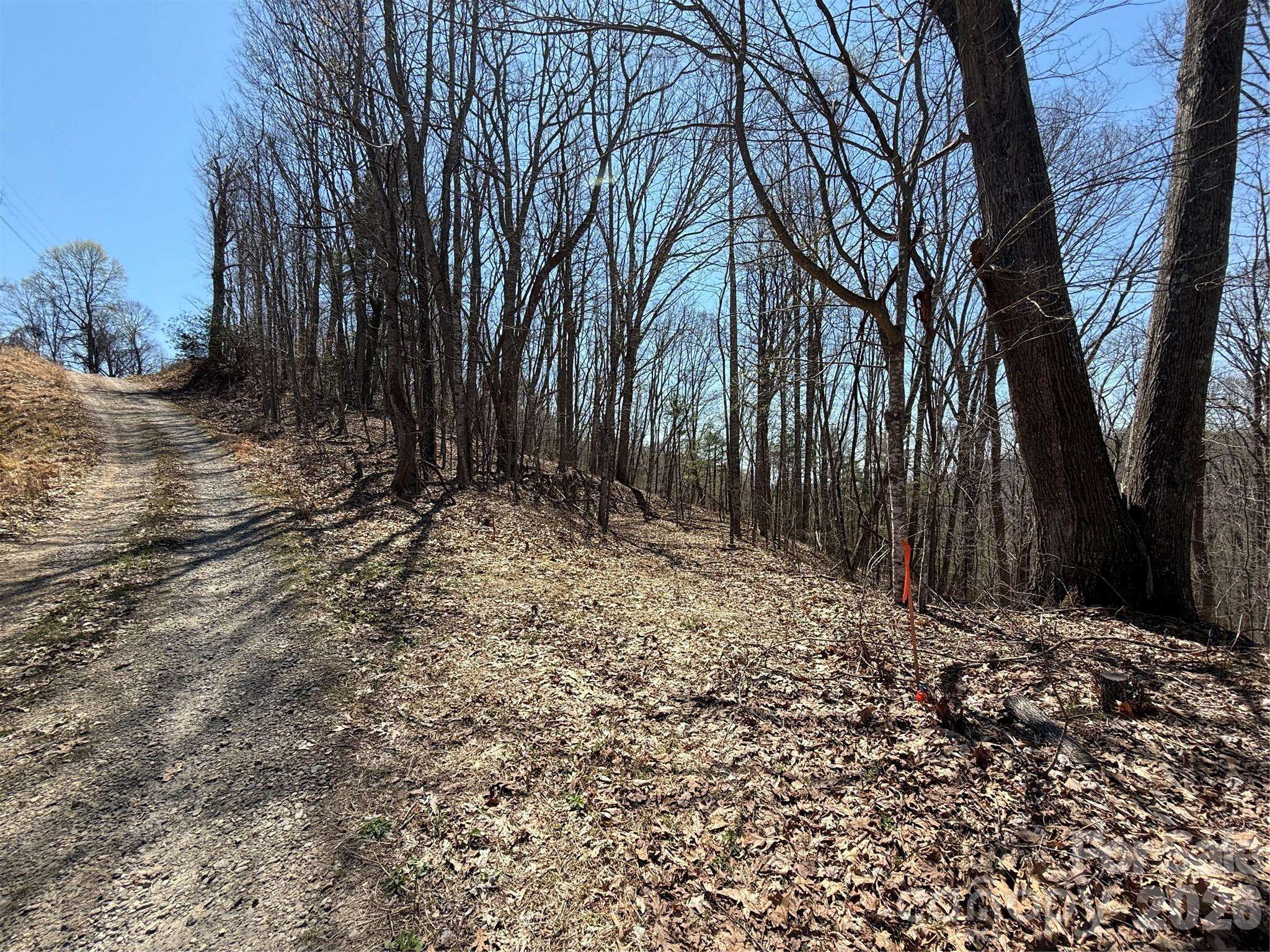 000 Granny Shepherd RD #lot 4, Mars Hill, NC 28754