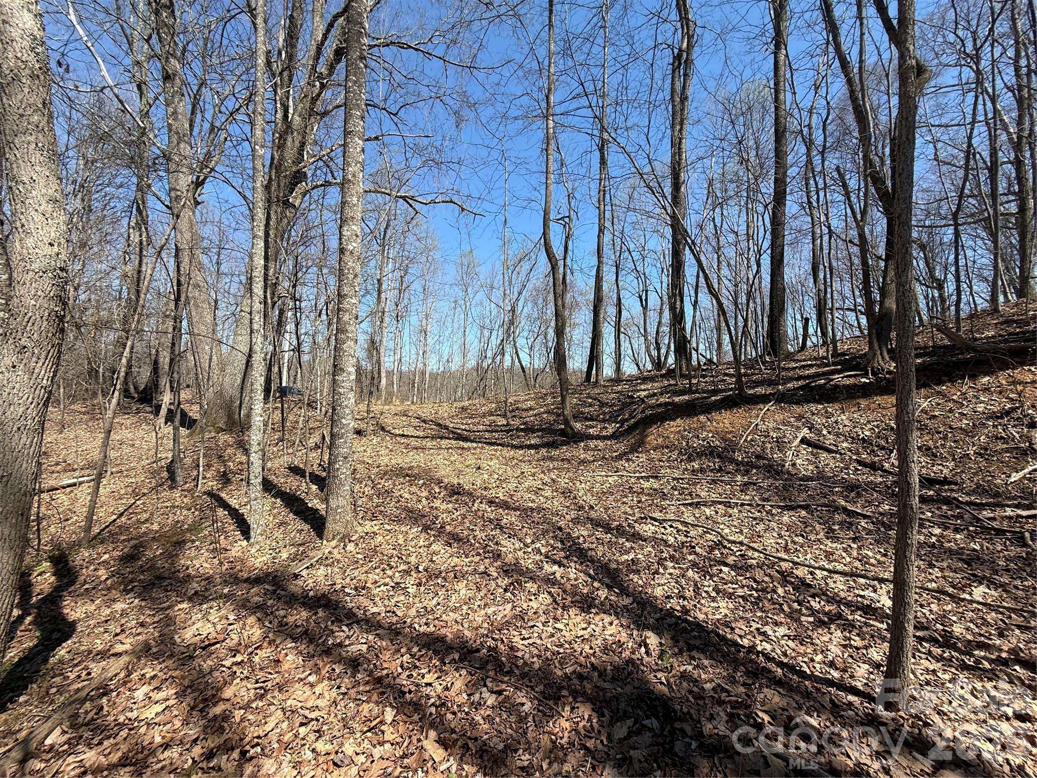 000 Granny Shepherd RD #lot 4, Mars Hill, NC 28754