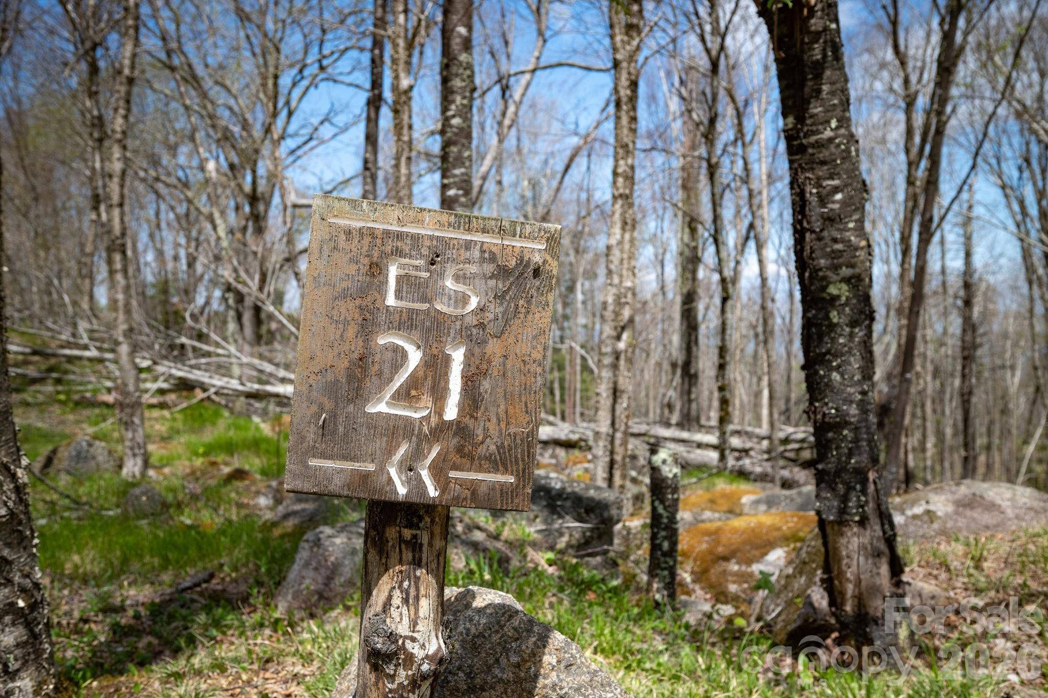 ES-21 Eagle Springs TRL, Banner Elk, NC 28604