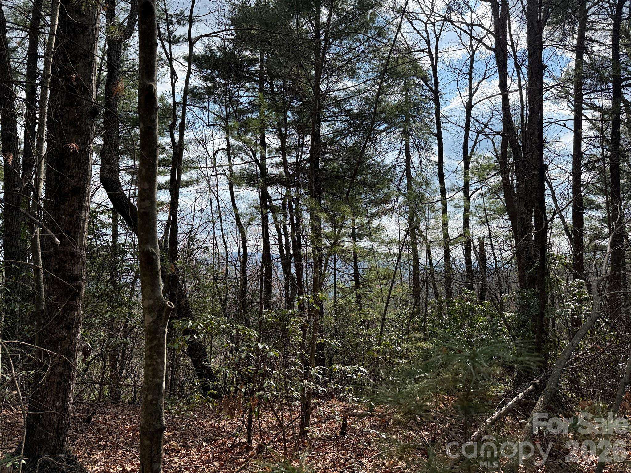 TBD Staghorn RD #51 & 52A, Purlear, NC 28665