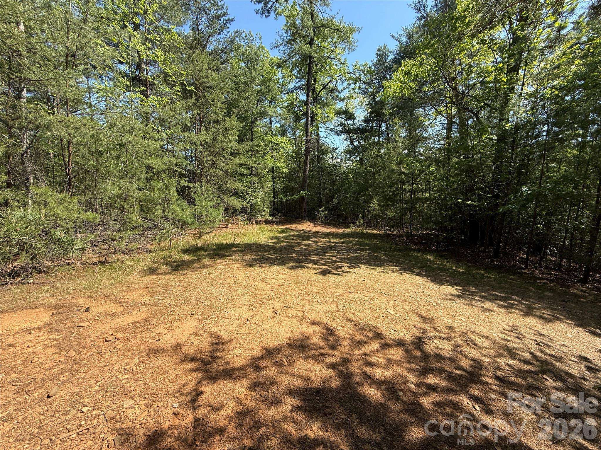 TBD Staghorn RD #51 & 52A, Purlear, NC 28665