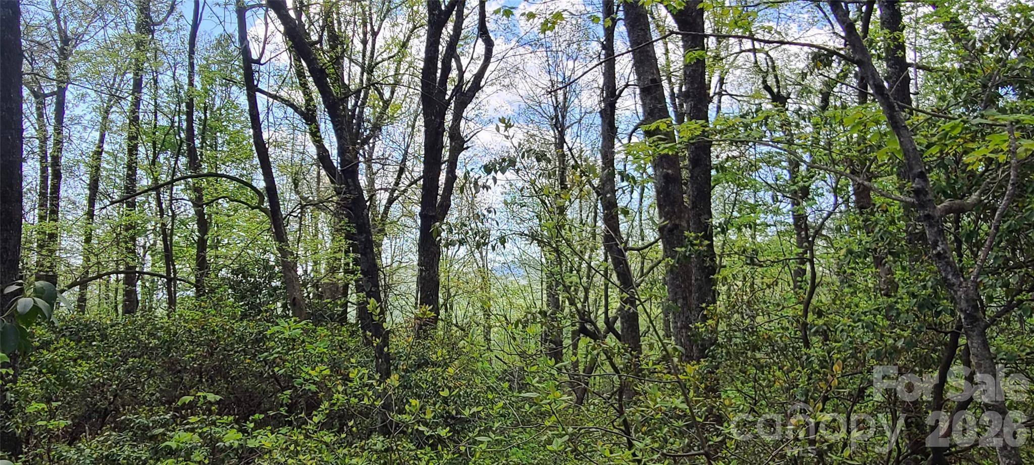 102 High Cliffs TRL, Black Mountain, NC 28711