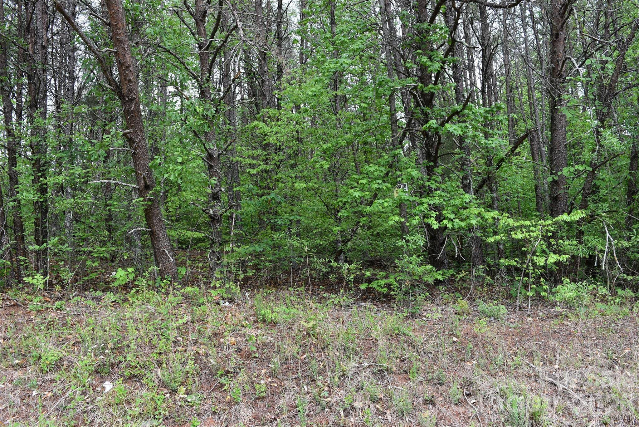 304 Moriah school RD, Casar, NC 28020