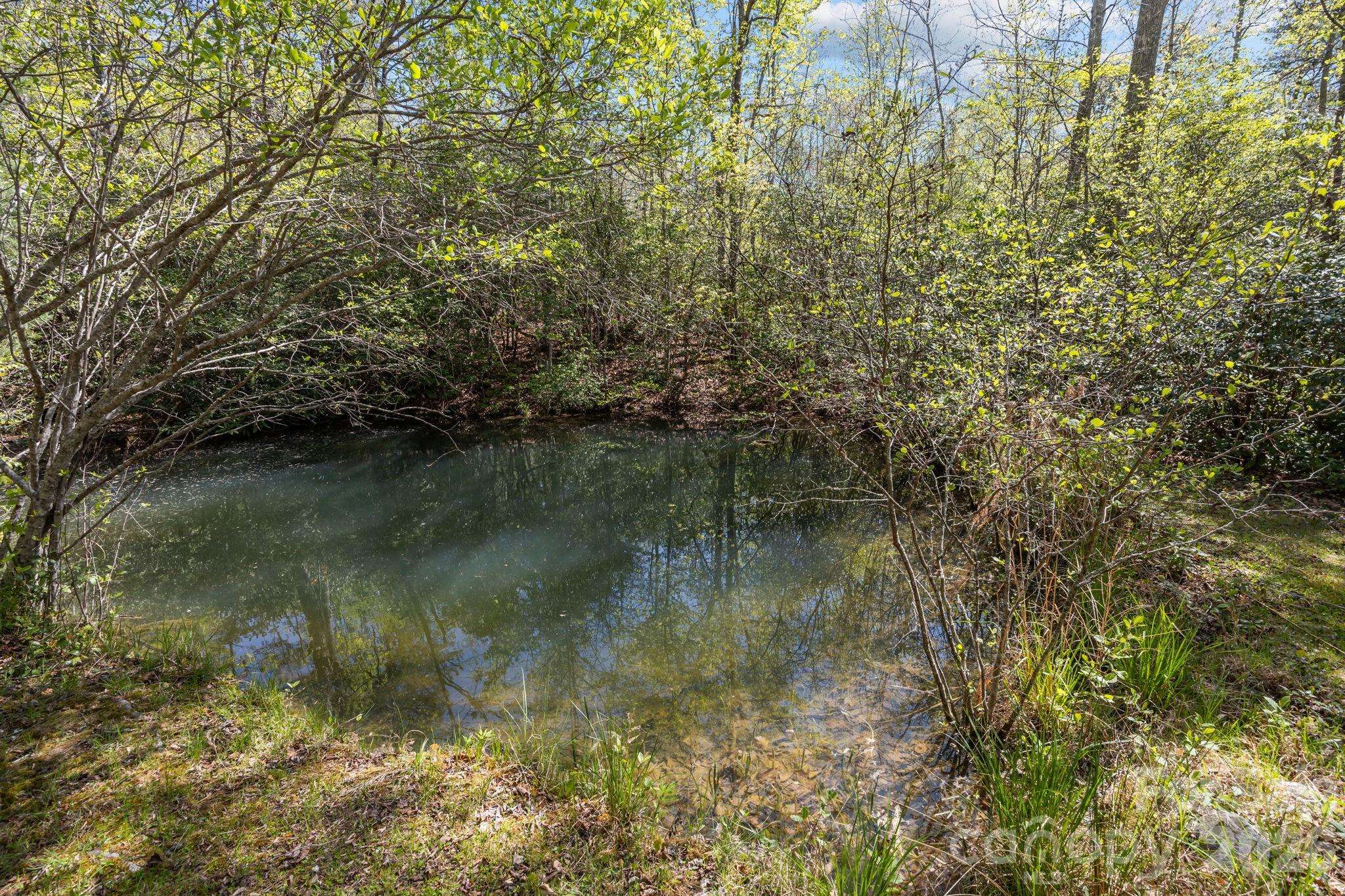 78 Bird Creek Estates RD, Black Mountain, NC 28711