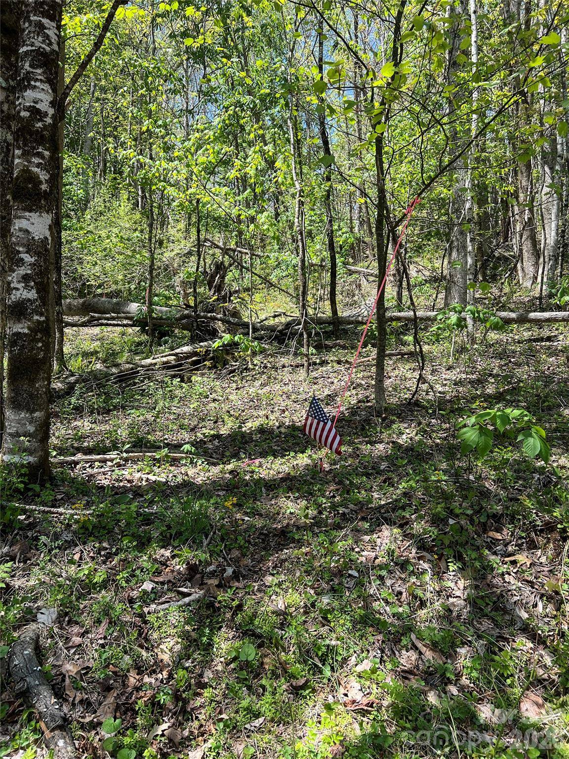 Lot# 34 Buckeye Creek RD #34, Beech Mountain, NC 28622