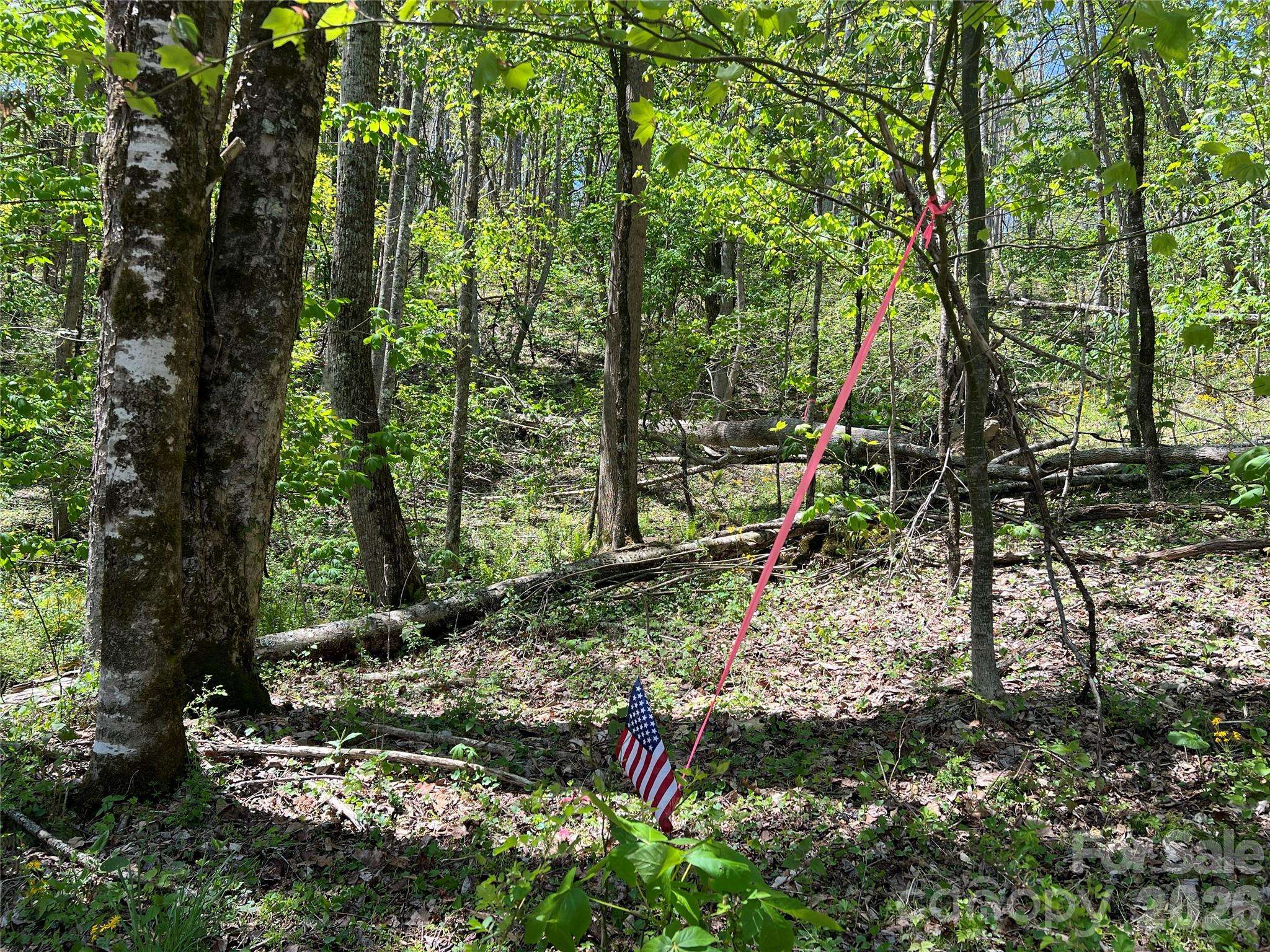 Lot# 34 Buckeye Creek RD #34, Beech Mountain, NC 28622