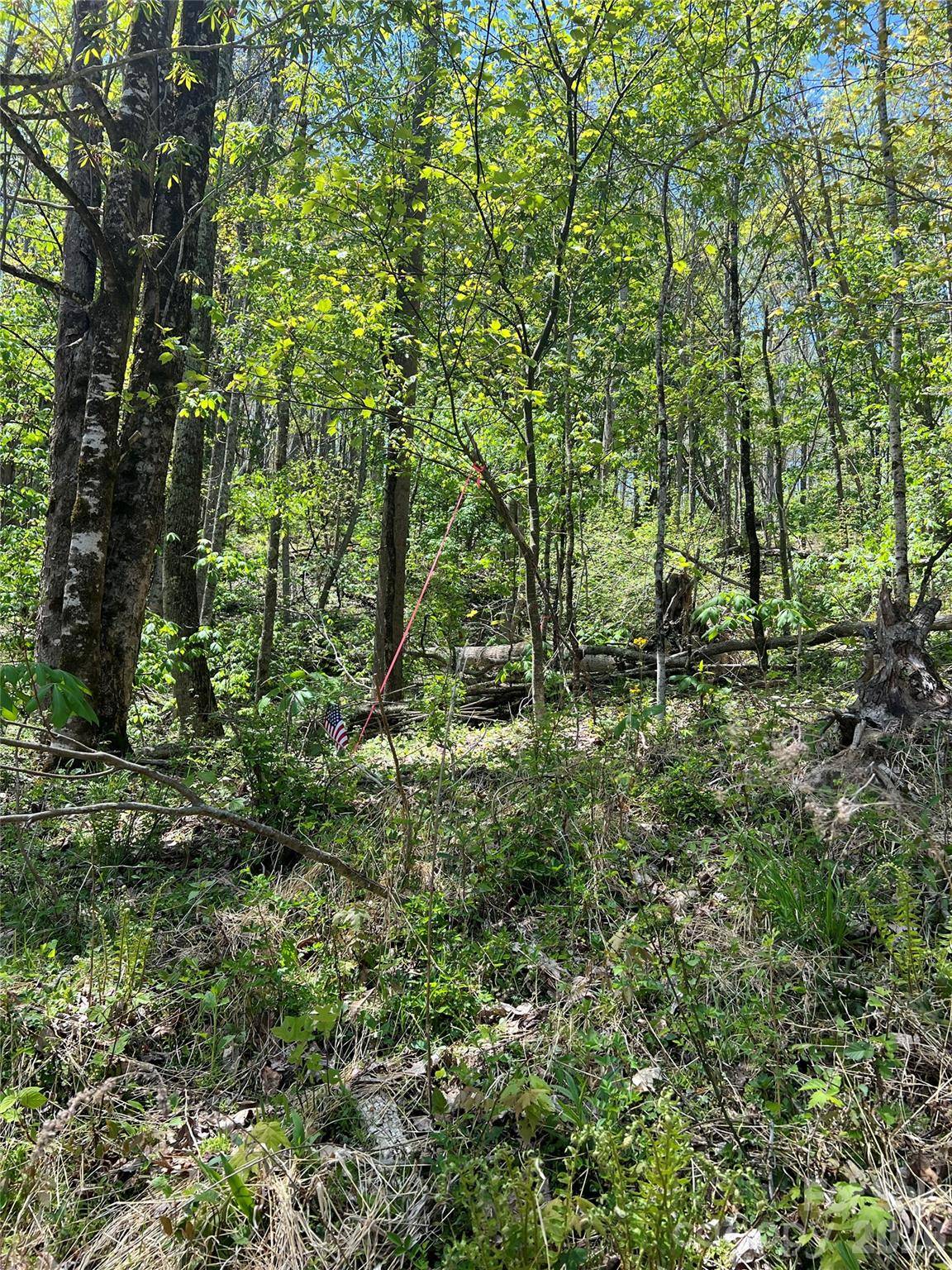Lot# 34 Buckeye Creek RD #34, Beech Mountain, NC 28622