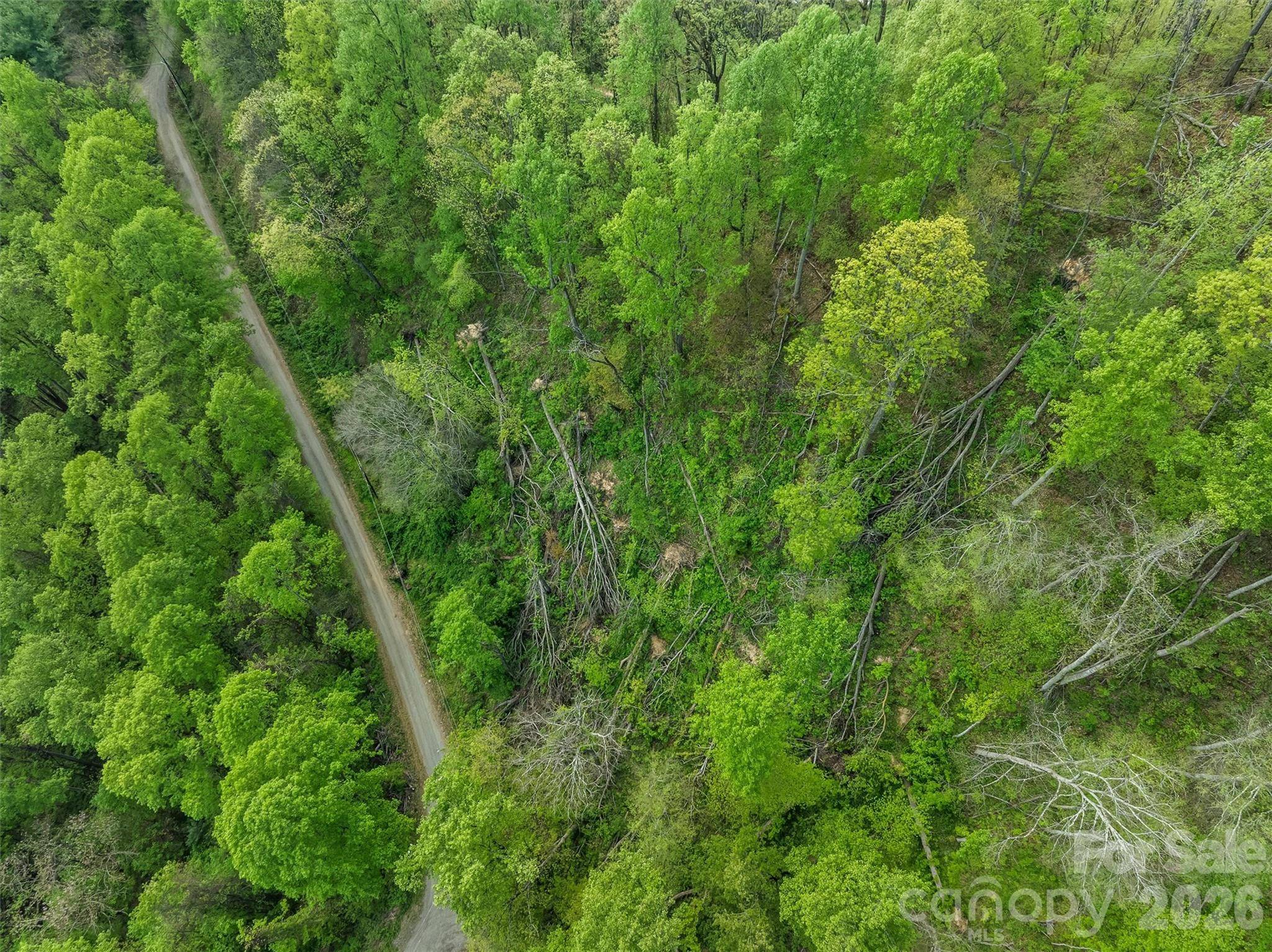 TBD Jacks Knob RD #49, Barnardsville, NC 28709