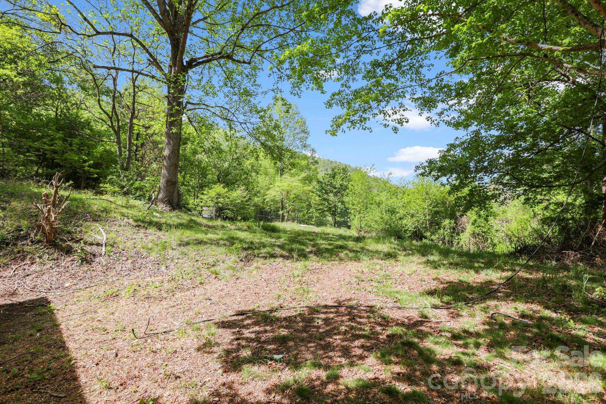 1007 N Fork RD, Barnardsville, NC 28709