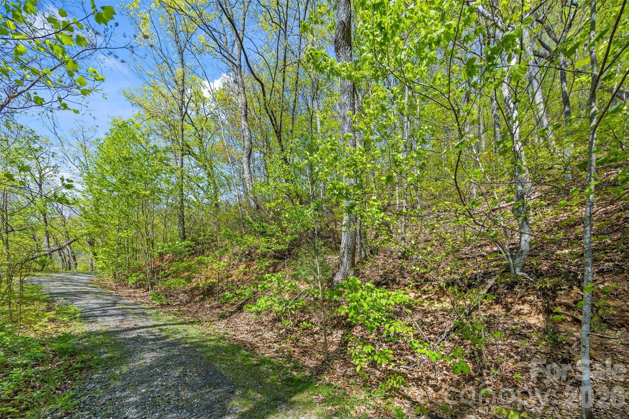 21 Reillys Bluff RD #1, Barnardsville, NC 28709