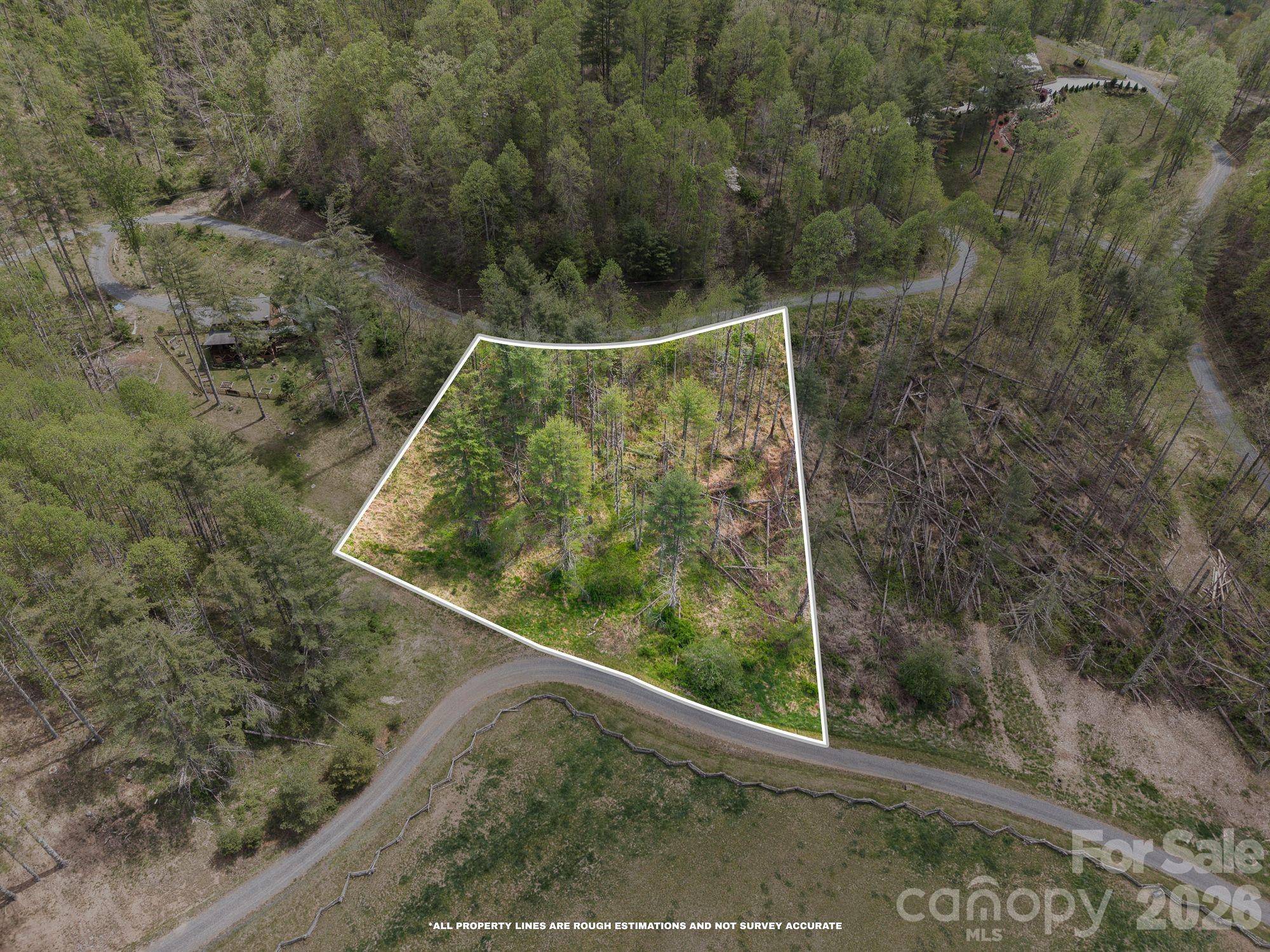 00000 White Pine LN #19, Bakersville, NC 28705