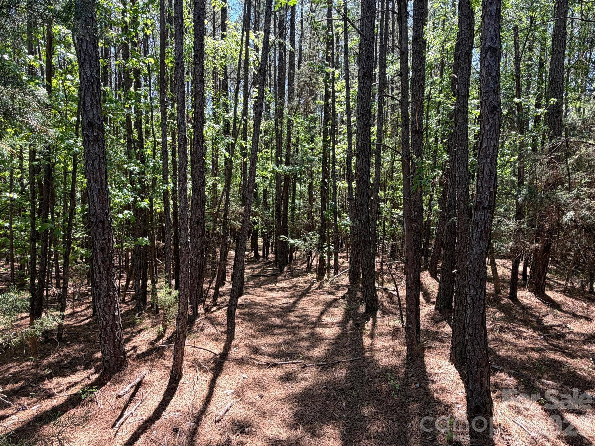 5 AC Terry Drive HWY, Union, SC 29379