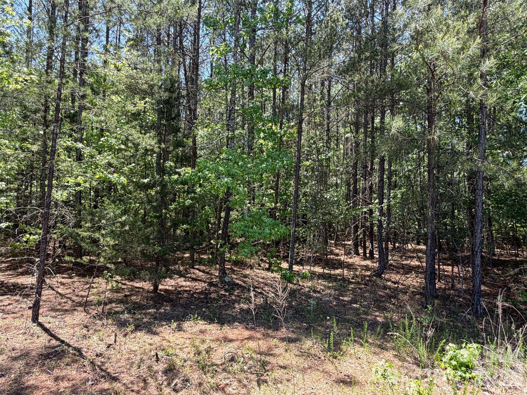 5 AC Terry Drive HWY, Union, SC 29379