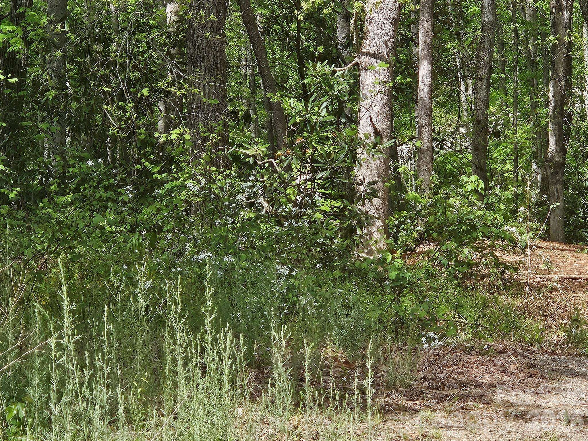 22 Graulich LN #6, Candler, NC 28715