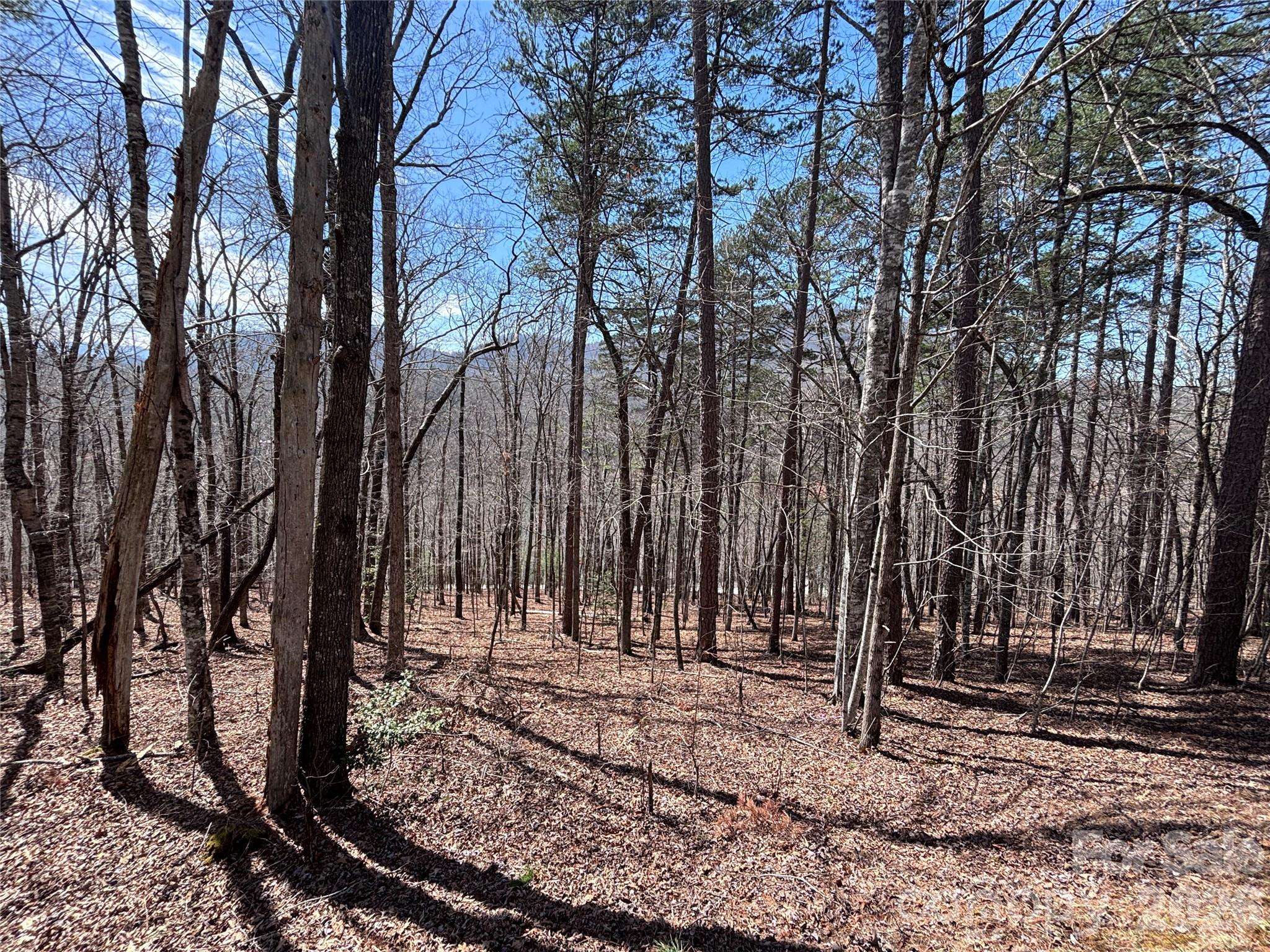 Lot 55-3 Fontana LOOP S, Bryson City, NC 28713