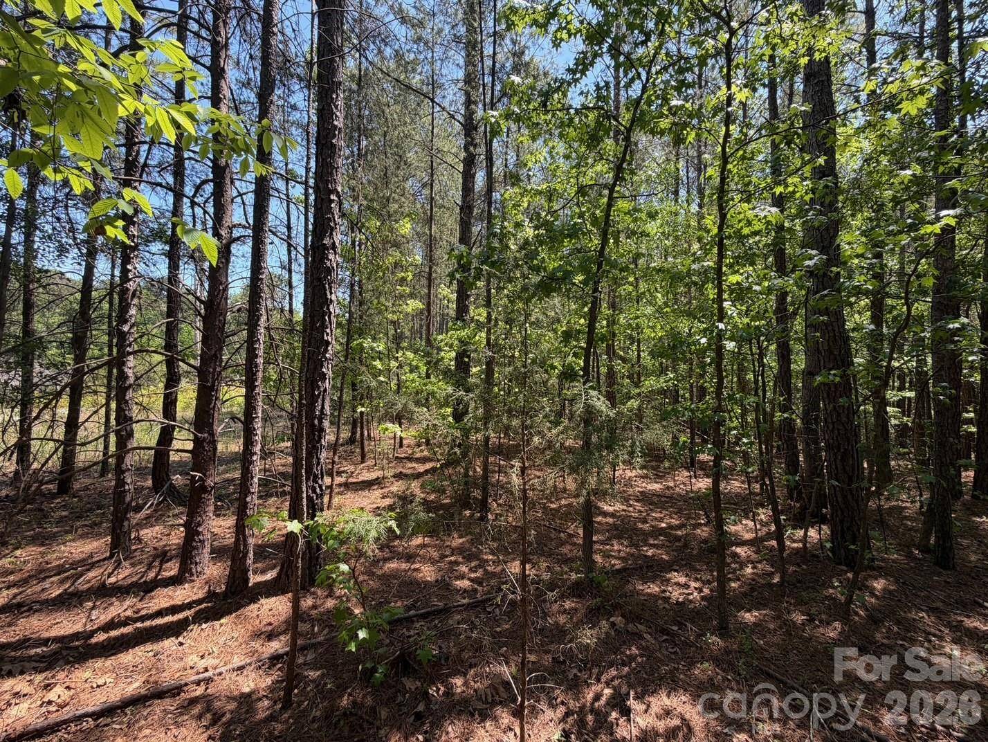 7 AC Terry Drive HWY, Union, SC 29379