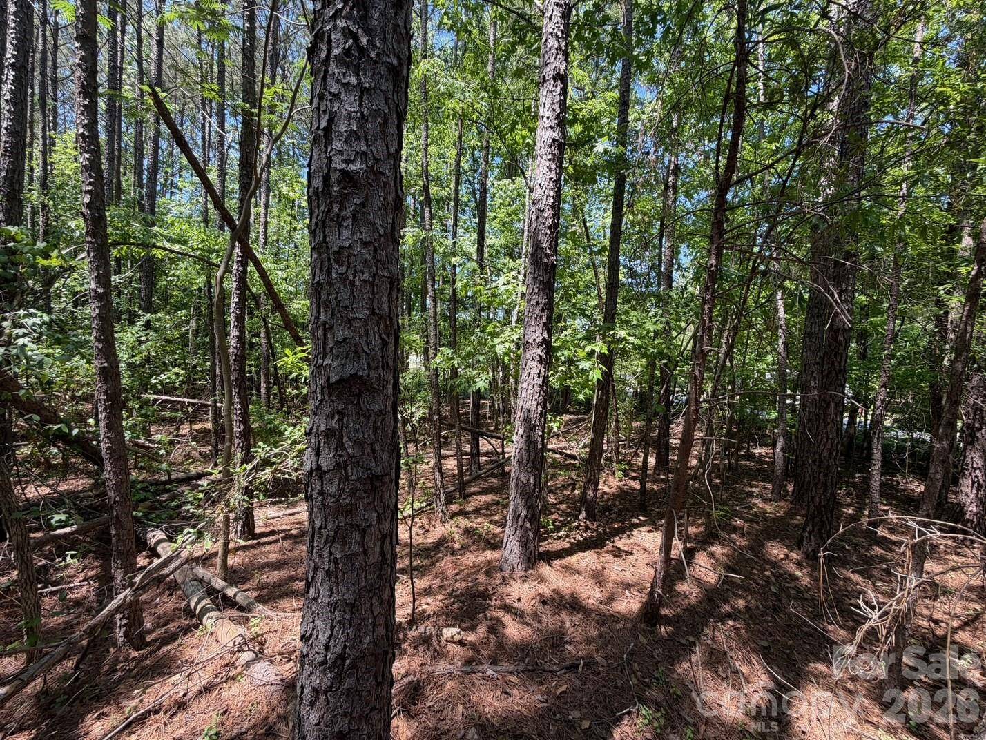 7 AC Terry Drive HWY, Union, SC 29379
