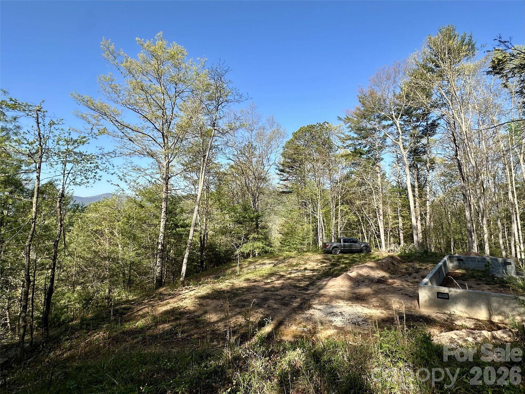 454 Dream Valley DR, Clyde, NC 28721