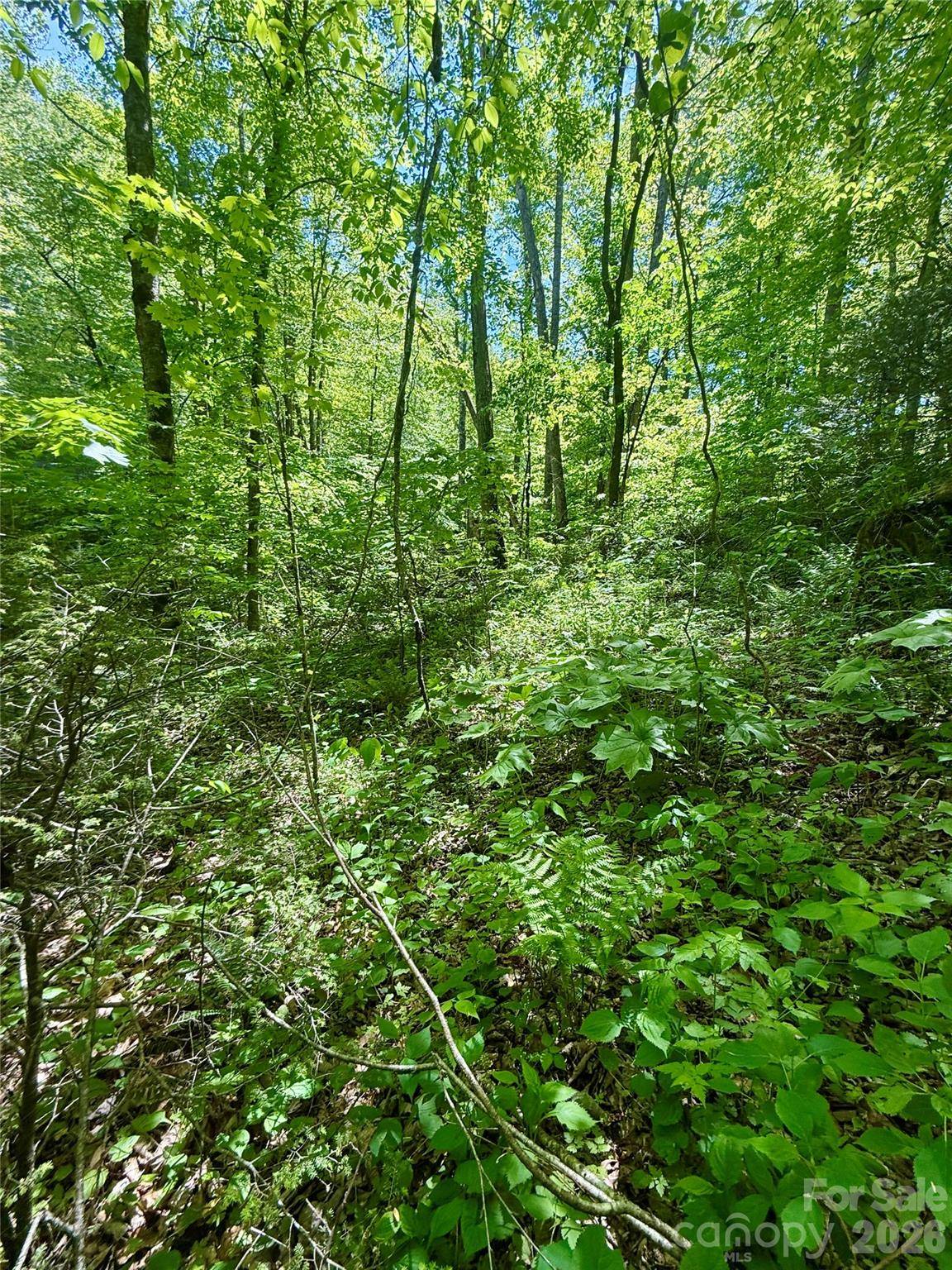 TBD Highway 107 None N #Lot 1, Glenville, NC 28736