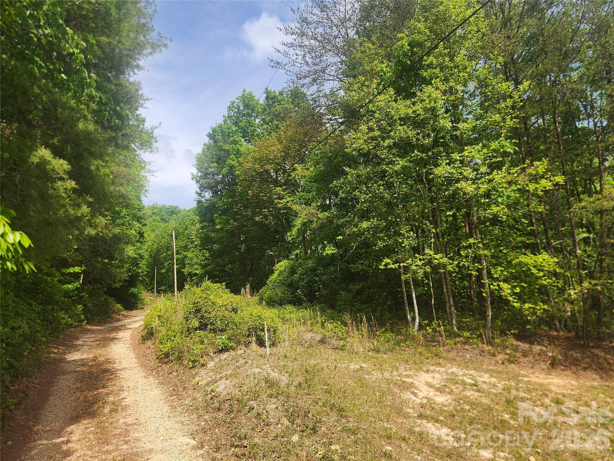 3024 Pearson Mountain RD, Boomer, NC 28606
