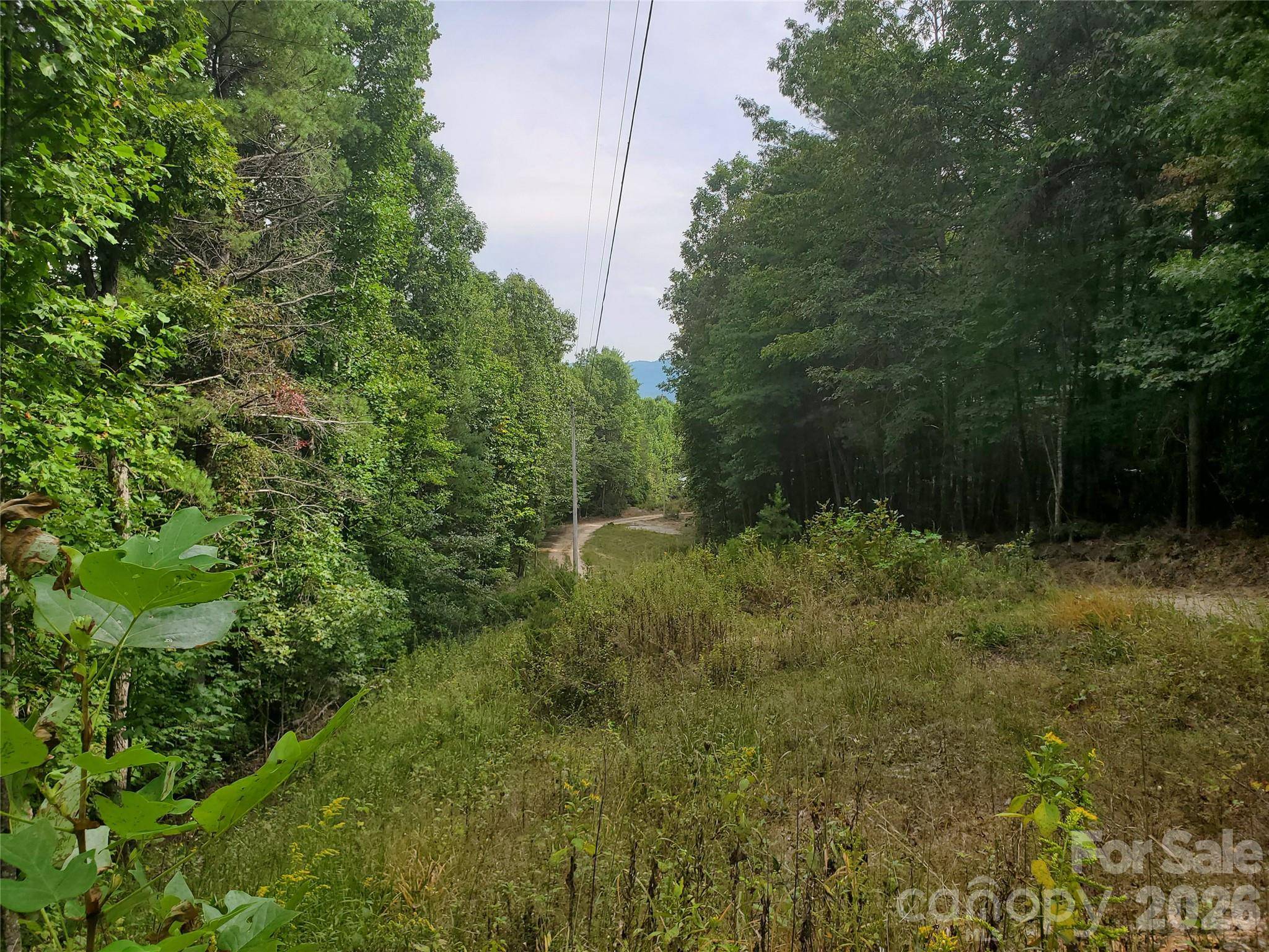 3024 Pearson Mountain RD, Boomer, NC 28606