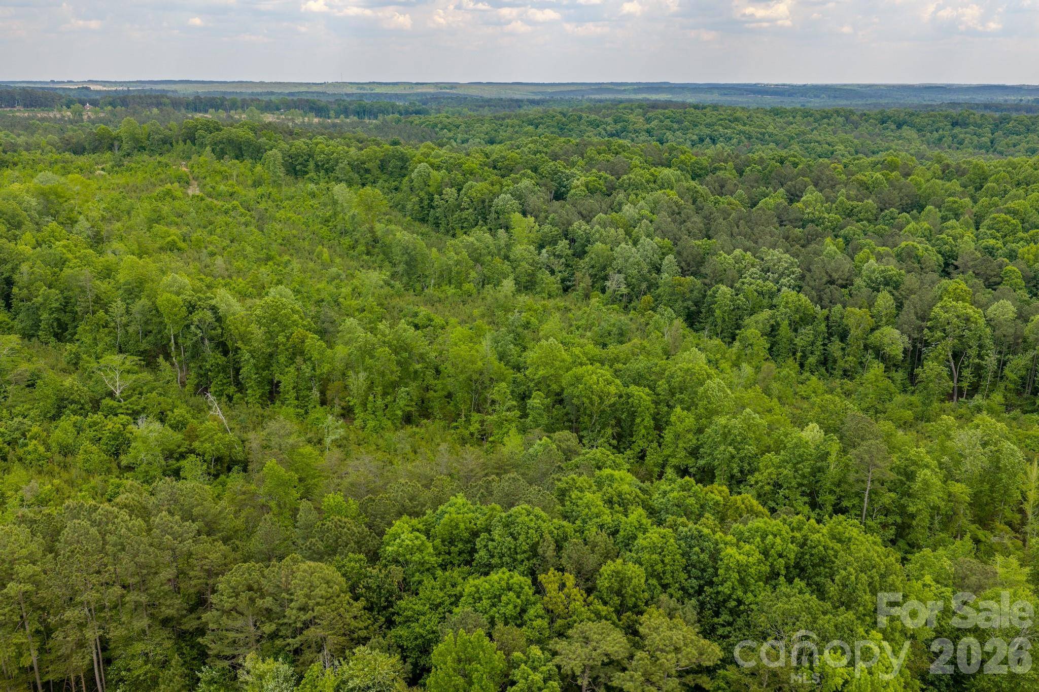 0 Hwy 731 HWY E, Candor, NC 27229