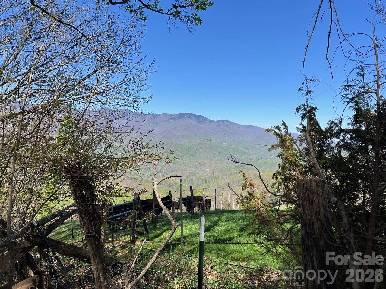 0 Crackin Chestnut LN, Sylva, NC 28779
