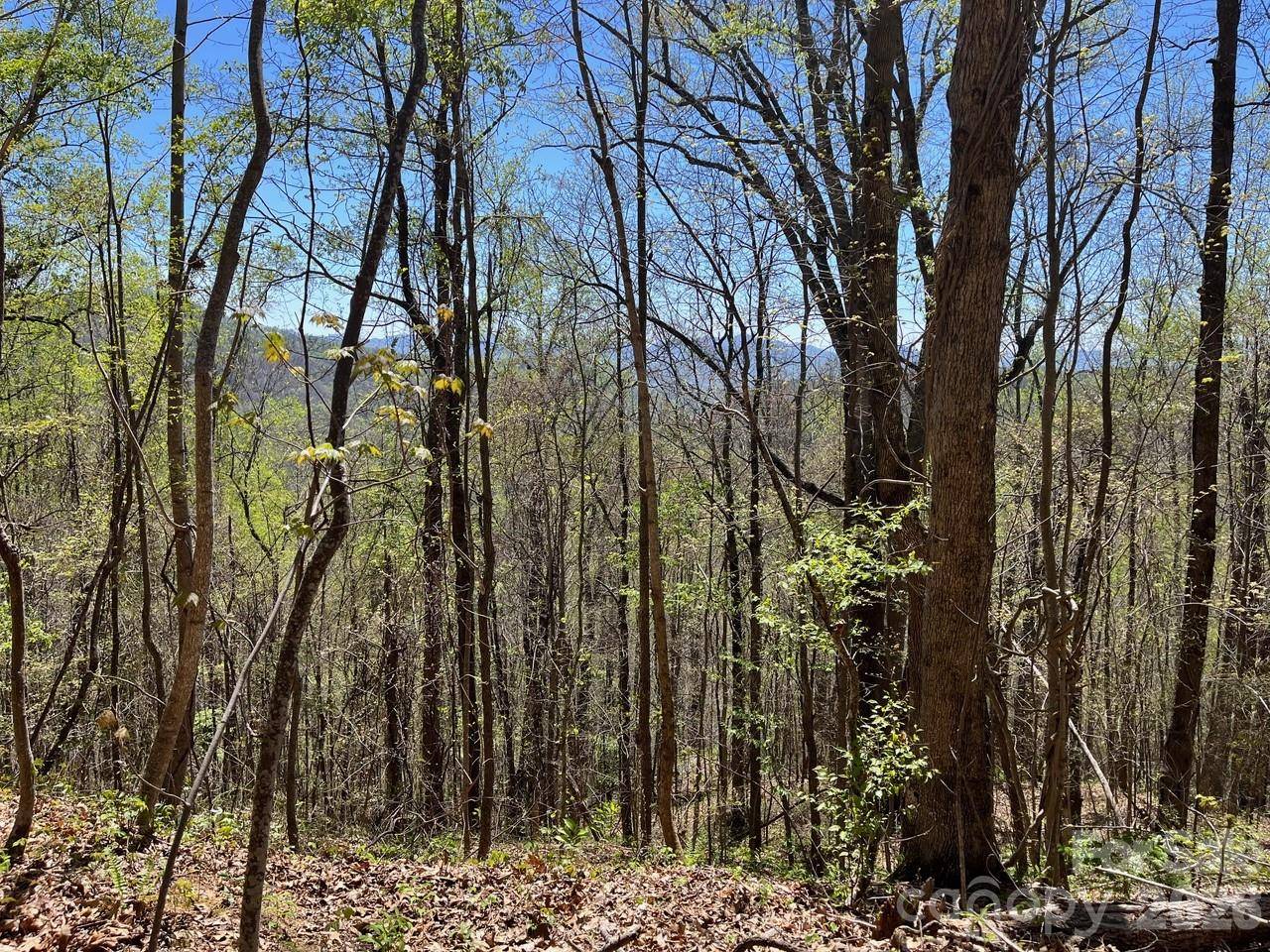 0 Crackin Chestnut LN, Sylva, NC 28779