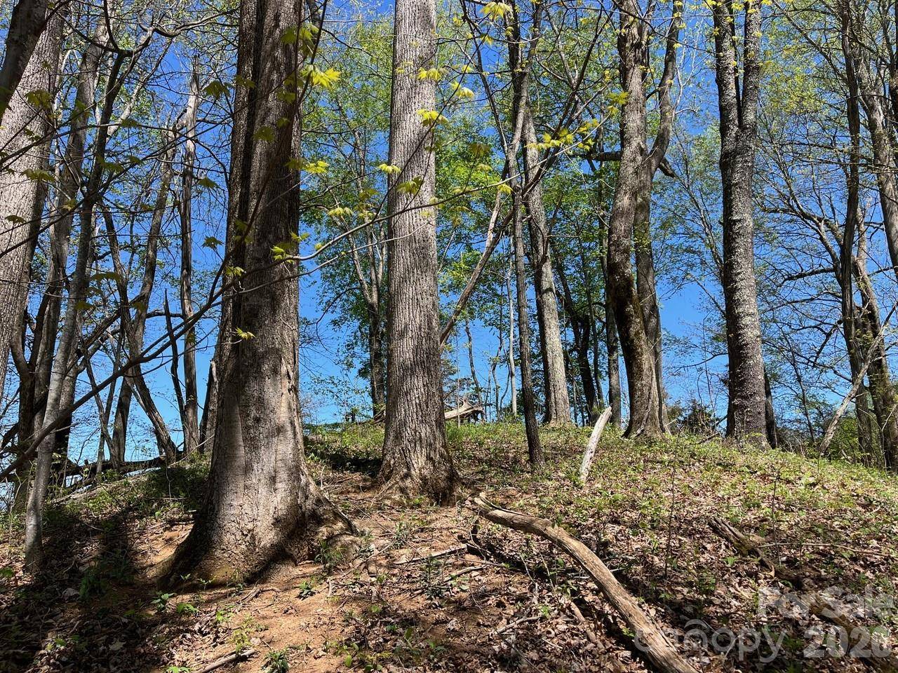 0 Crackin Chestnut LN, Sylva, NC 28779