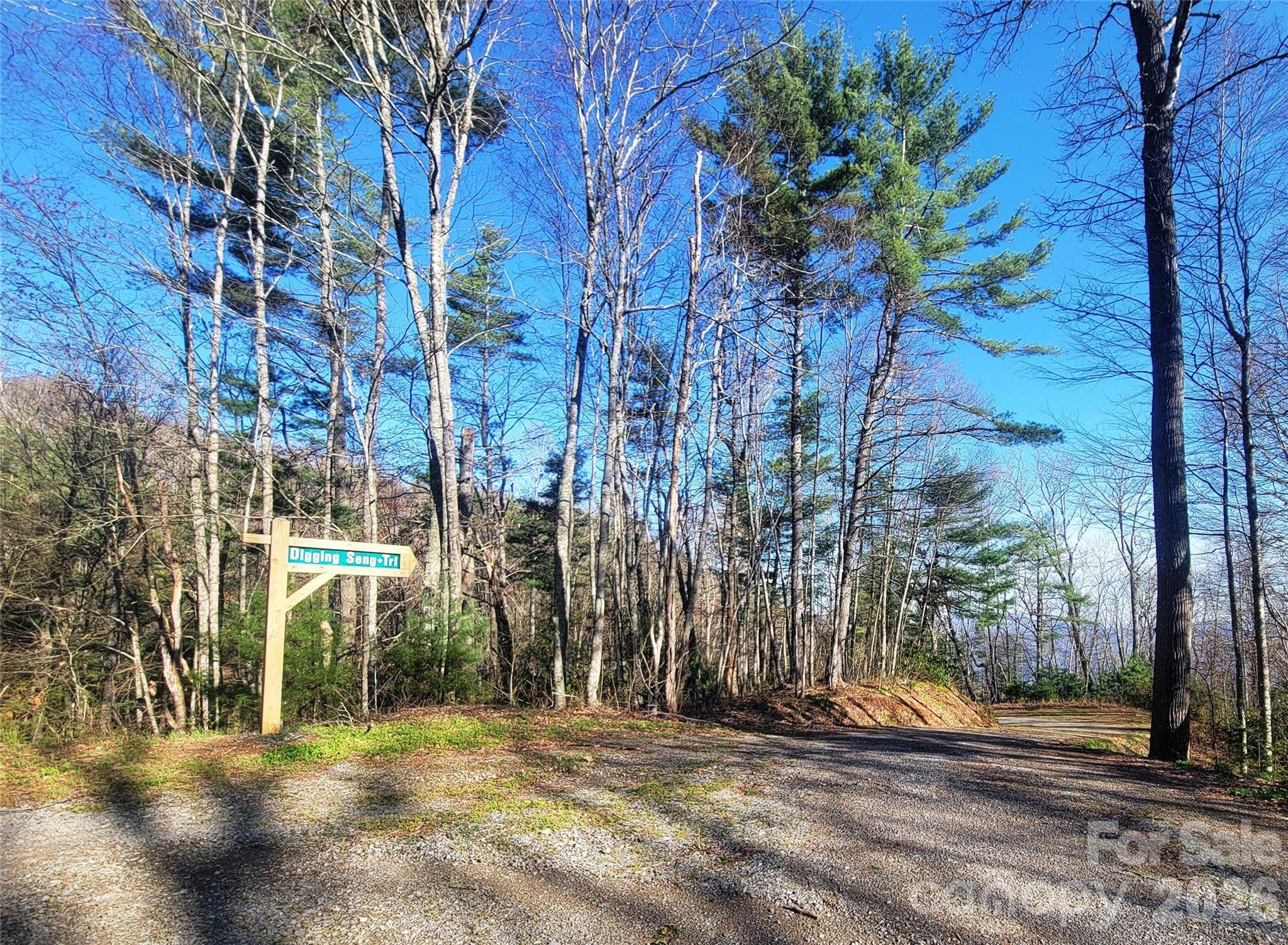 111 Digging Seng TRL #138, Waynesville, NC 28785