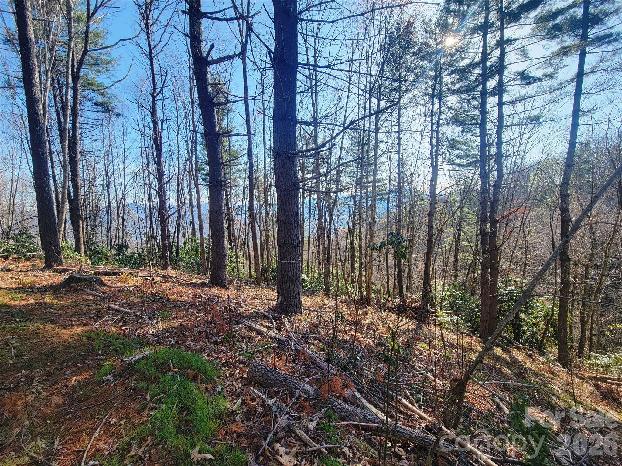 111 Digging Seng TRL #138, Waynesville, NC 28785