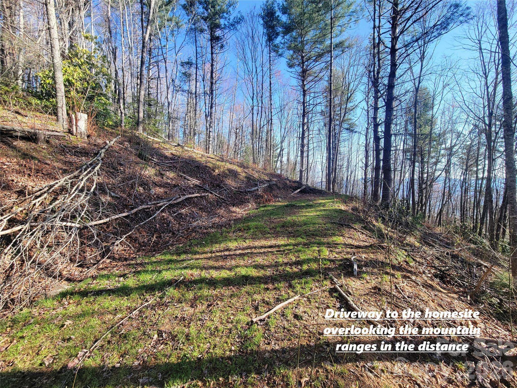 111 Digging Seng TRL #138, Waynesville, NC 28785