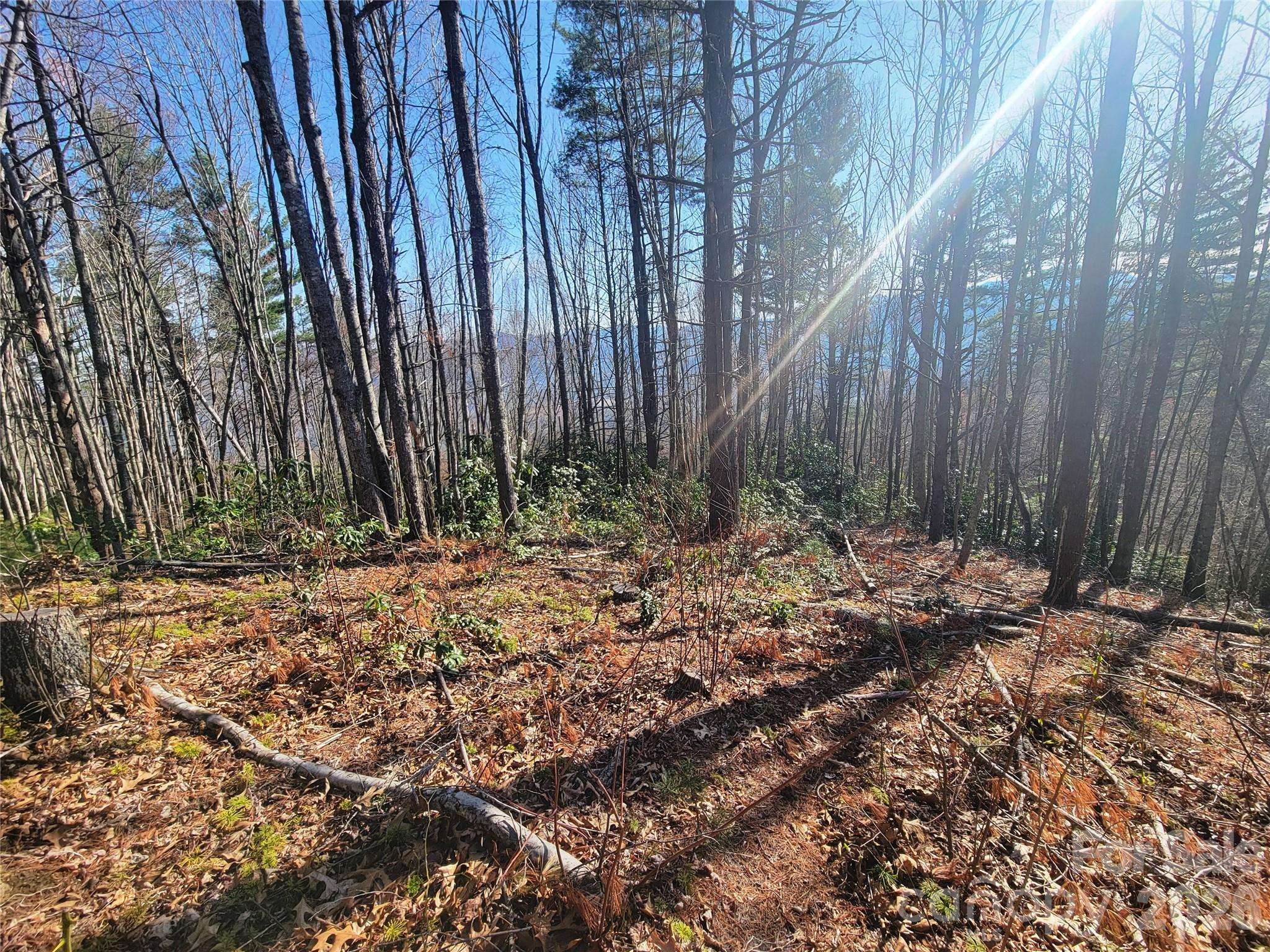 111 Digging Seng TRL #138, Waynesville, NC 28785