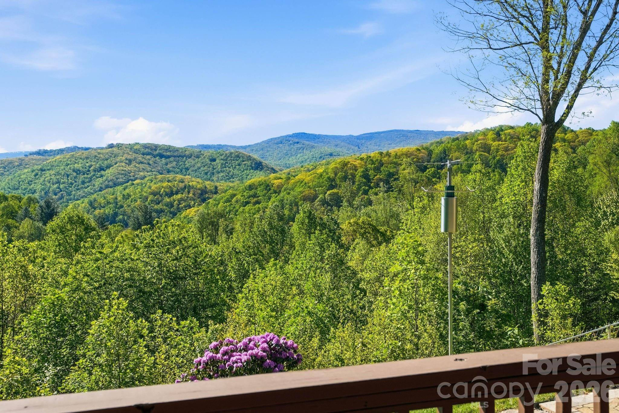 394 Hummingbird LN, Elk Park, NC 28622