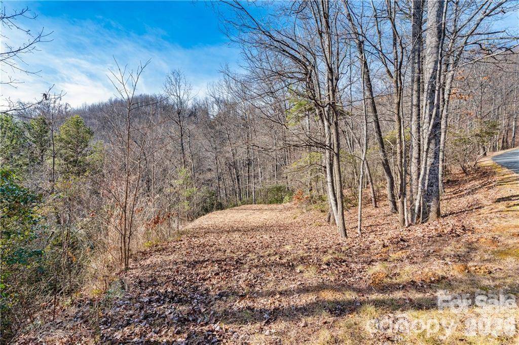 28 Trillium LN #C-1, Black Mountain, NC 28711