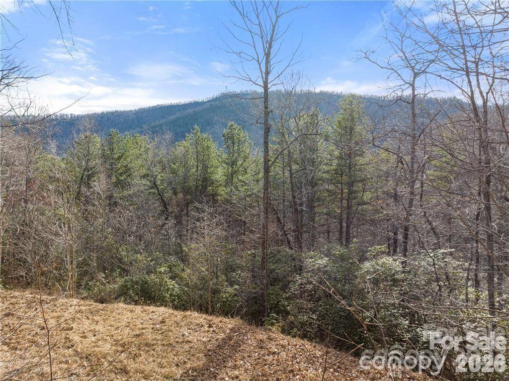 28 Trillium LN #C-1, Black Mountain, NC 28711