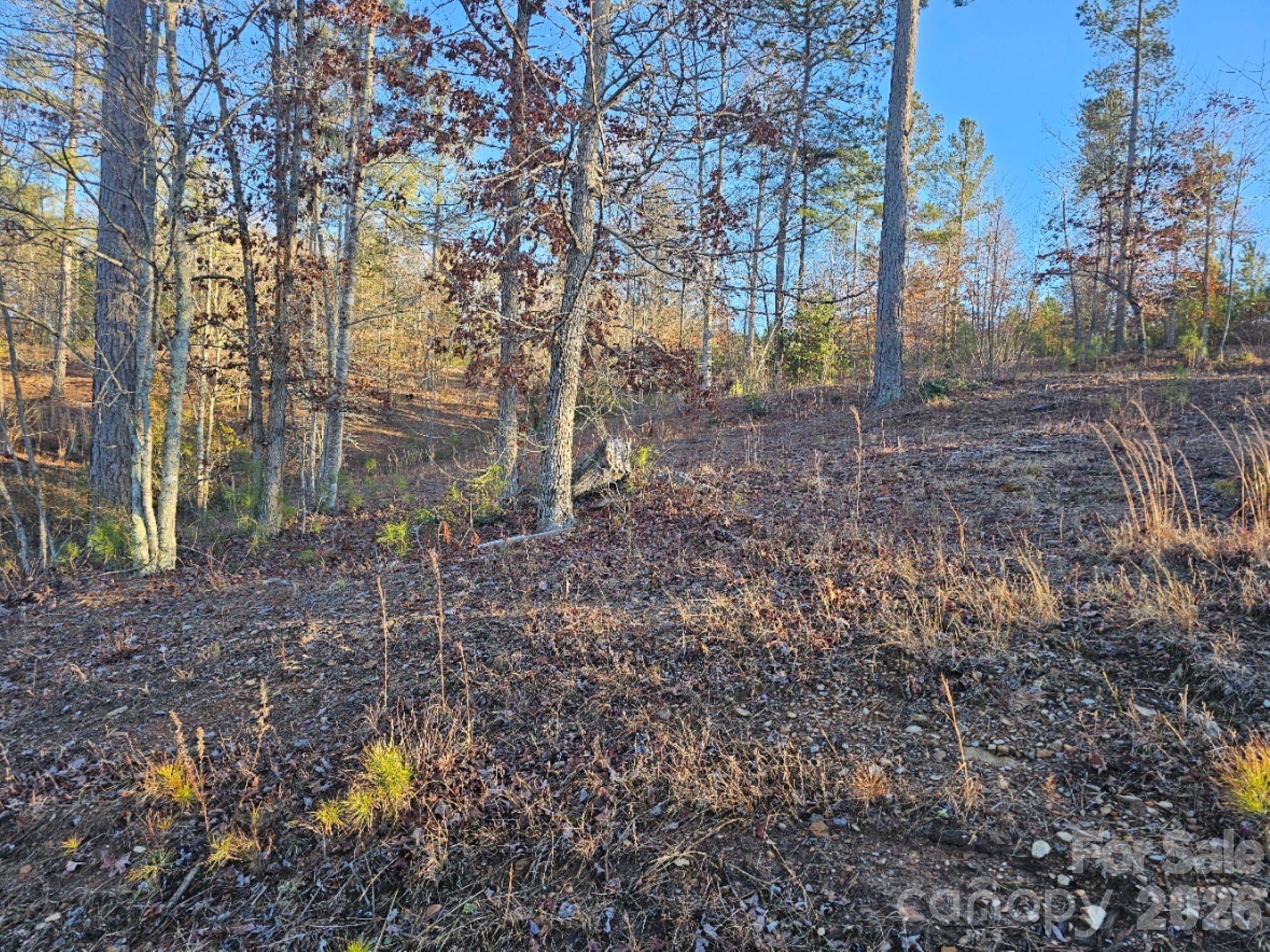 2167 Inlet Shore RD NE, Connelly Springs, NC 28612