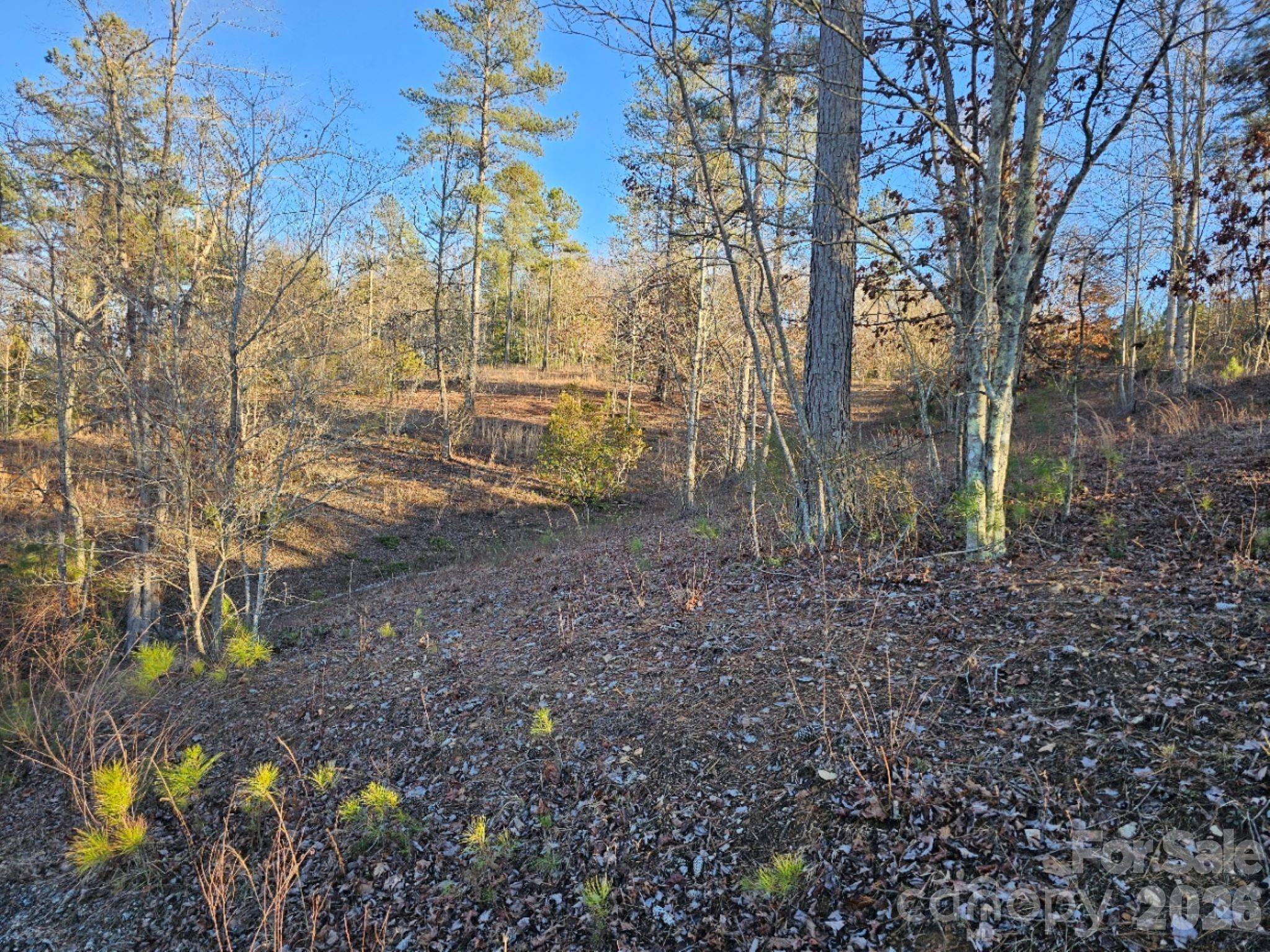 2167 Inlet Shore RD NE, Connelly Springs, NC 28612