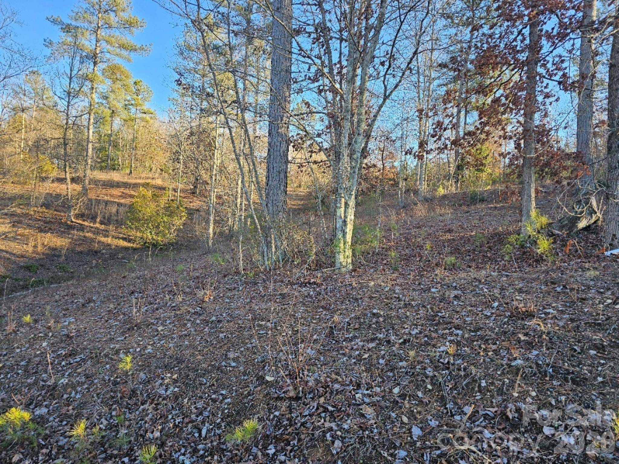2167 Inlet Shore RD NE, Connelly Springs, NC 28612
