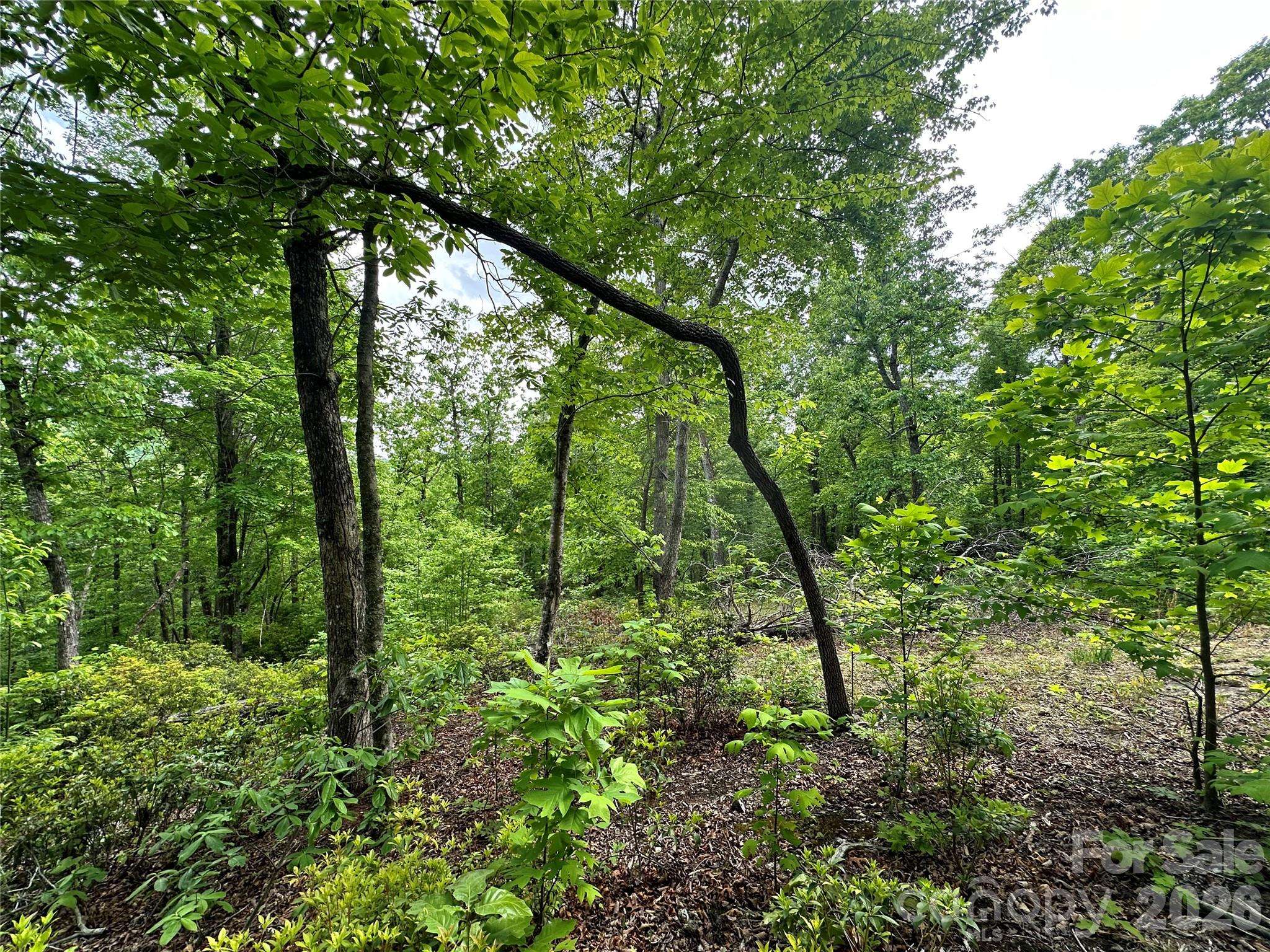 99999 Bird Creek Estates RD, Black Mountain, NC 28711