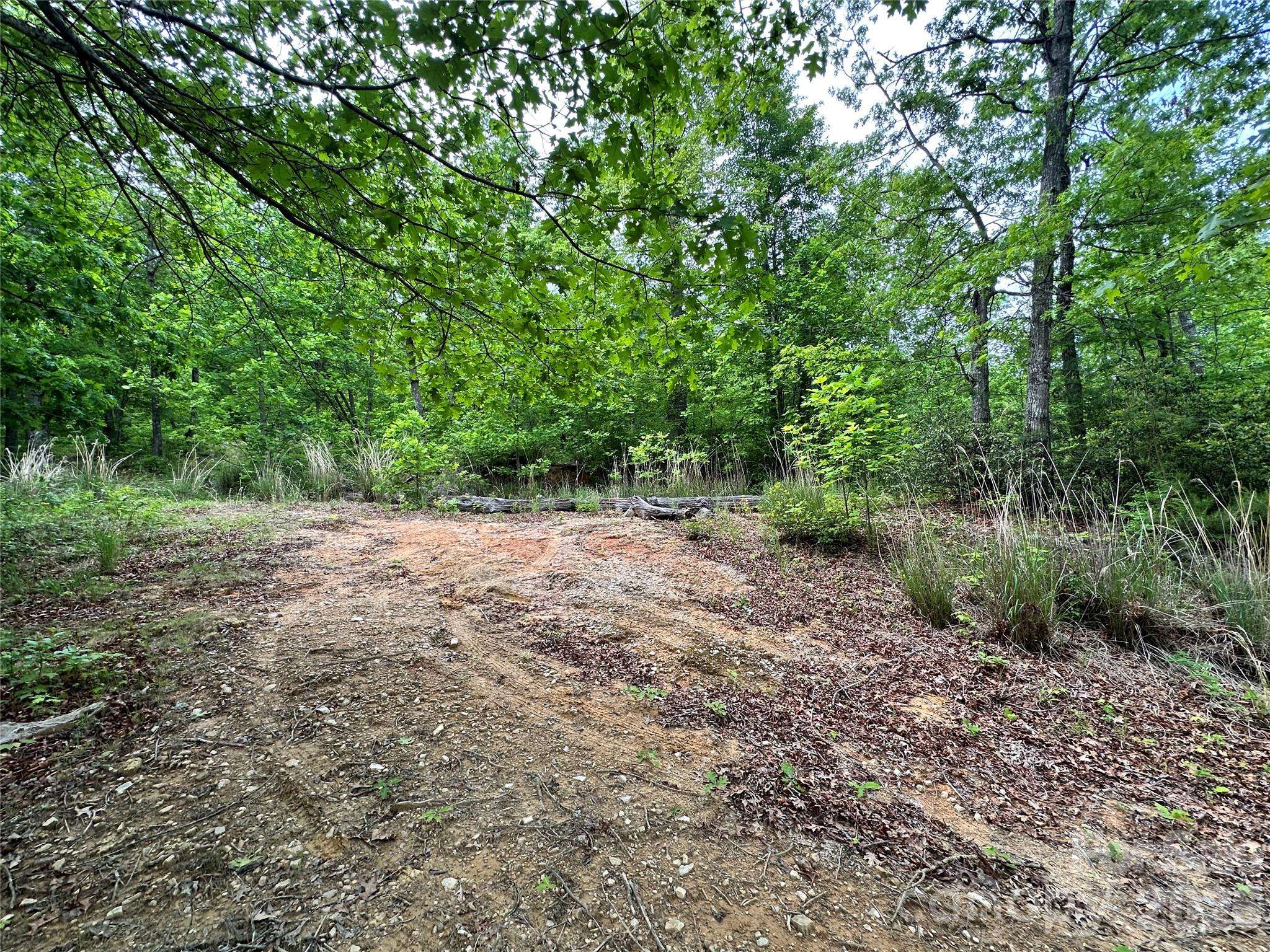 99999 Bird Creek Estates RD, Black Mountain, NC 28711