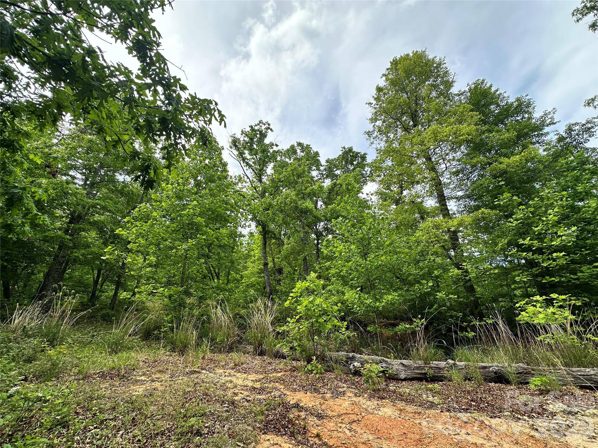 99999 Bird Creek Estates RD, Black Mountain, NC 28711