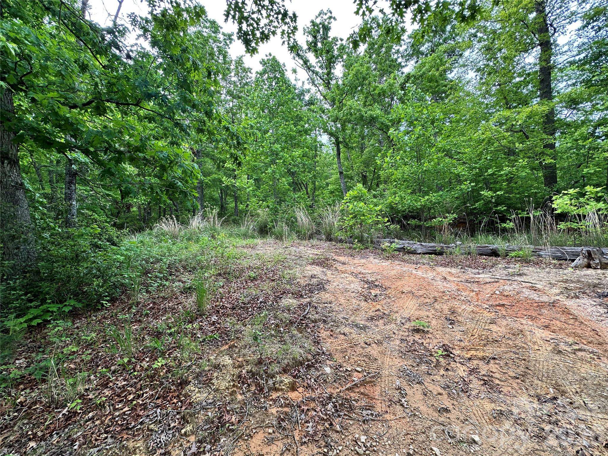 99999 Bird Creek Estates RD, Black Mountain, NC 28711