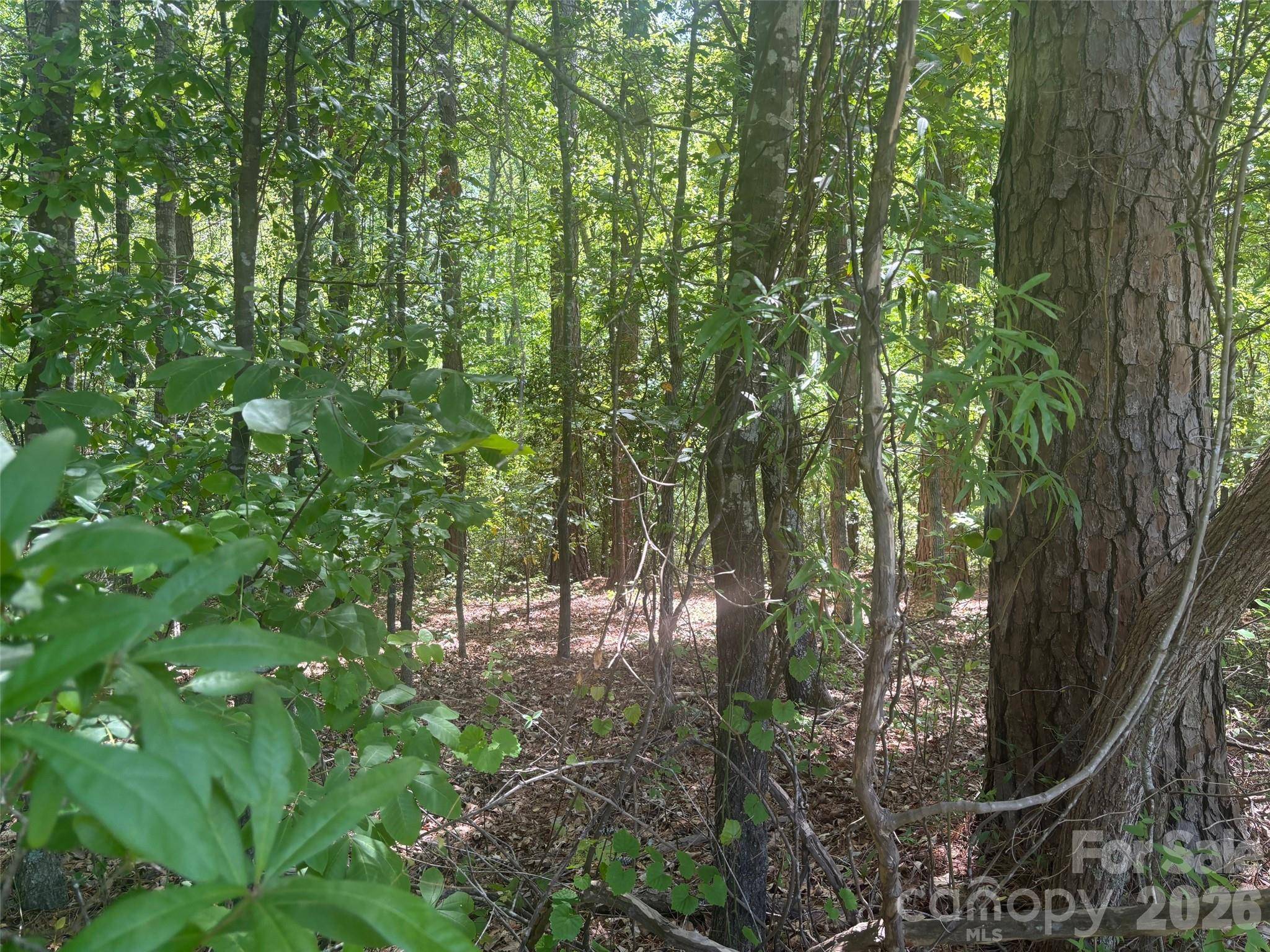 2206 S Highway 1 HWY S, Elgin, SC 29045