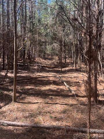 312 Pine Grove RD, Blythewood, SC 29016