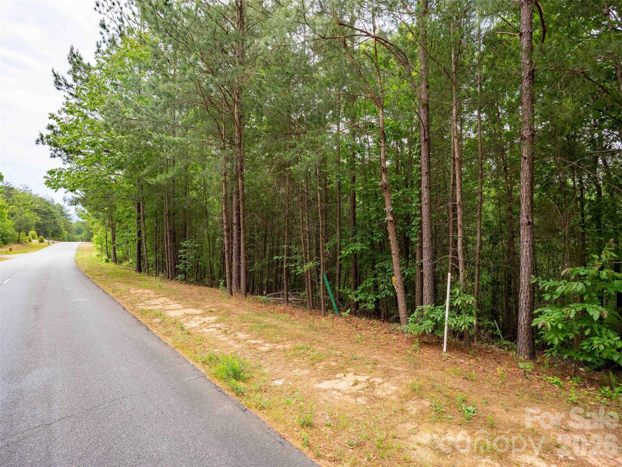 LOT 2009 Deep Gap Farm RD W, Mill Spring, NC 28756