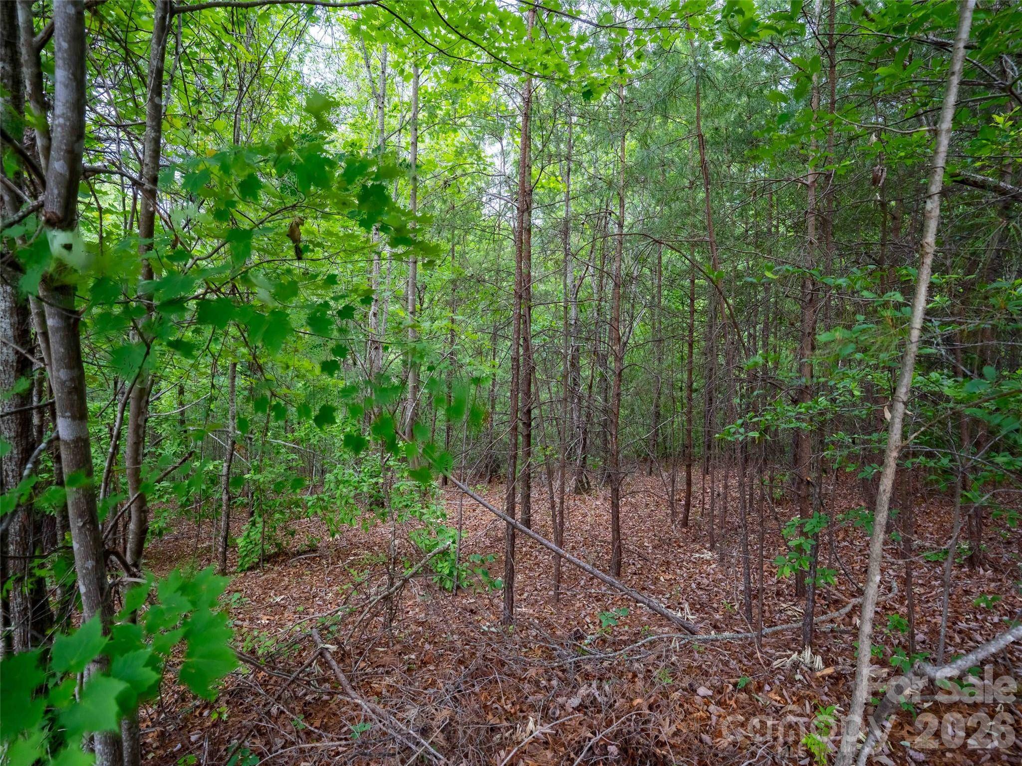 LOT 2009 Deep Gap Farm RD W, Mill Spring, NC 28756